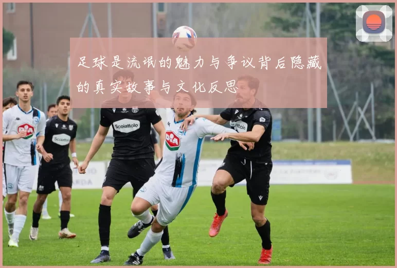 足球是流氓的魅力与争议背后隐藏的真实故事与文化反思